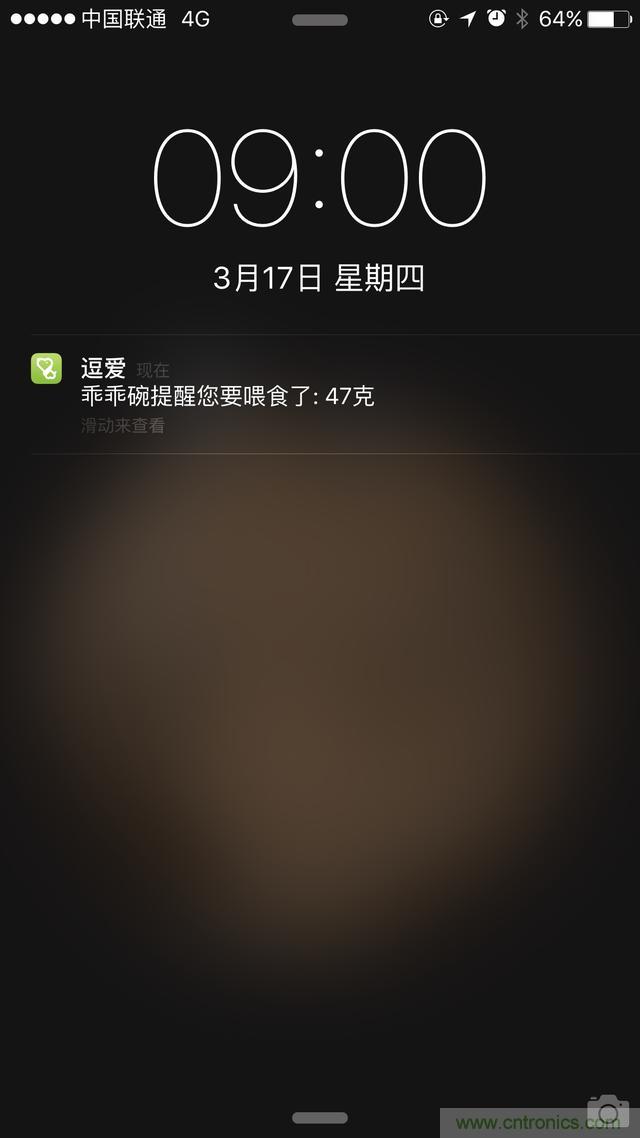 科學(xué)喂養(yǎng)從狗娃做起&mdash;&mdash;逗愛乖乖碗測試