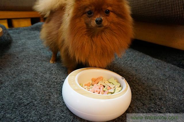 科學(xué)喂養(yǎng)從狗娃做起&mdash;&mdash;逗愛乖乖碗測試