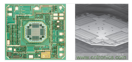  ADXL202 &plusmn;2 g加速度計。