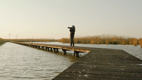 世界濕地日：?？低晹y手一個地球自然基金會，在上海守護(hù)這個重要“驛站”